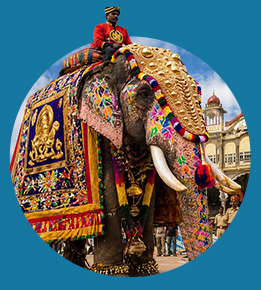 Dasara Festival
Experience